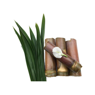 Bamboo Extract